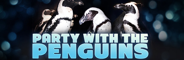 Party with the Penguins